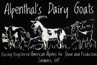 Alpenthal’s Goats